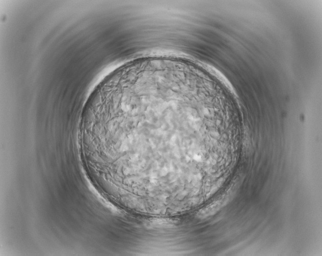 X0000087700847200705251731
