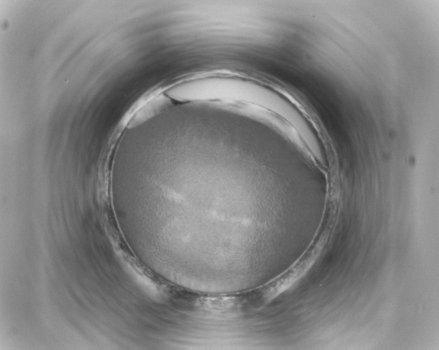 X0000087700858200705251732