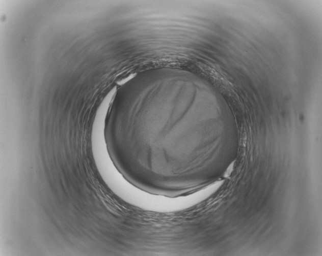 X0000087700868200705251731