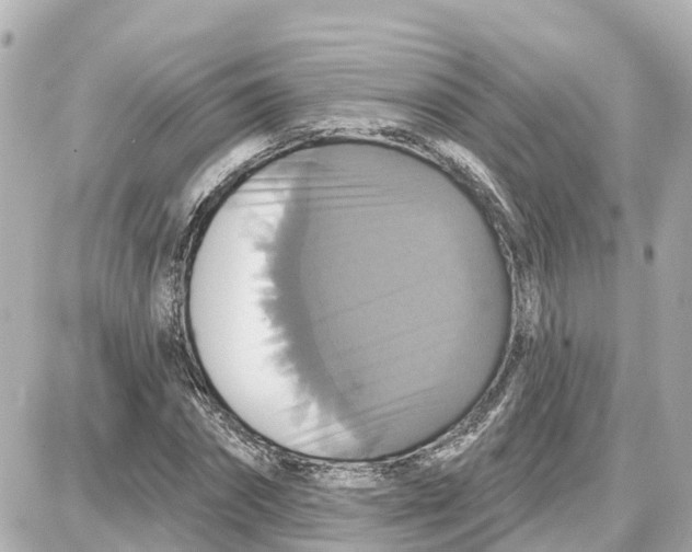 X0000087700874200705251731