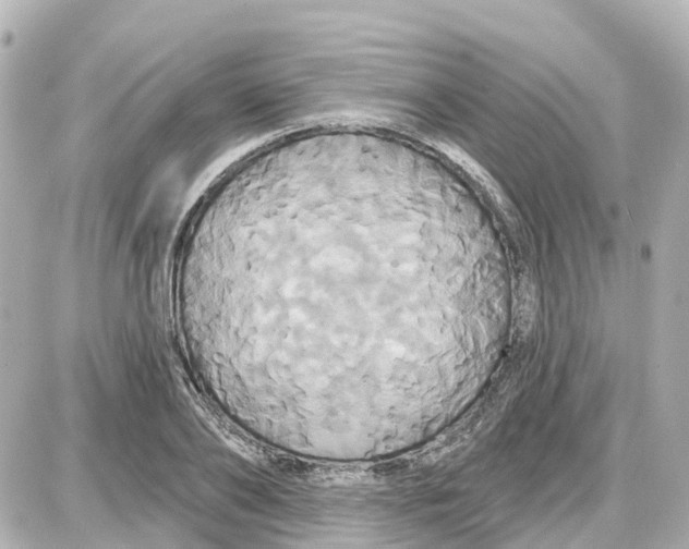 X0000087700886200705251731