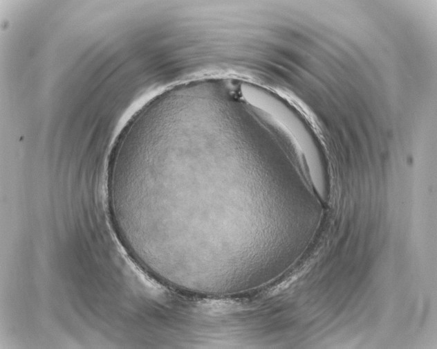 X0000087700894200705251730