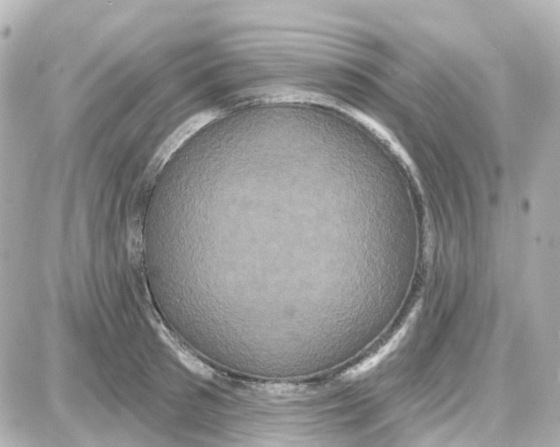 X0000087700897200705251730