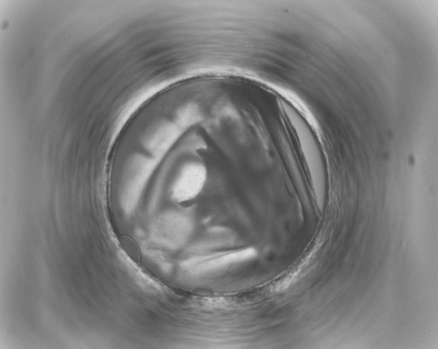 X0000087700903200705251730