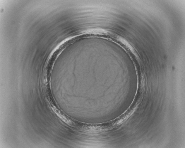 X0000087700923200705251730