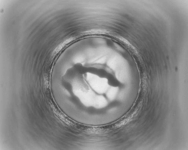 X0000087700929200705251730