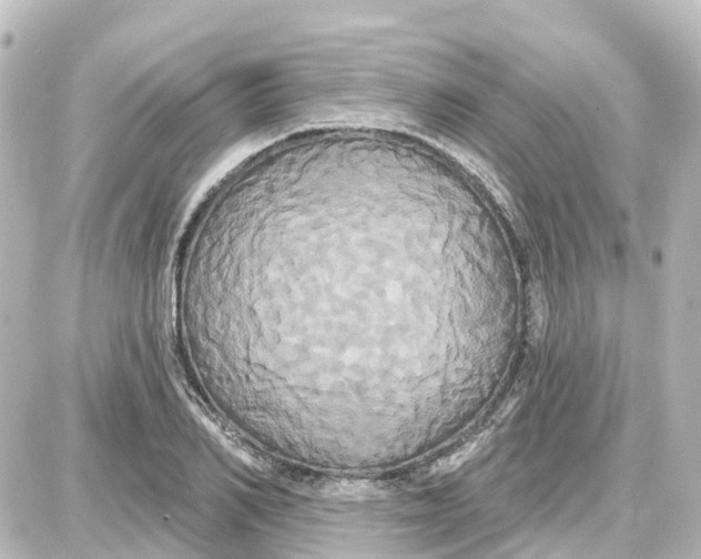 X0000087700982200705251729