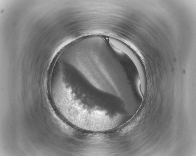 X0000087700991200705251729