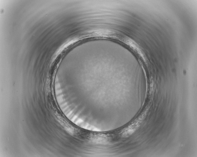 X0000087701019200705251728
