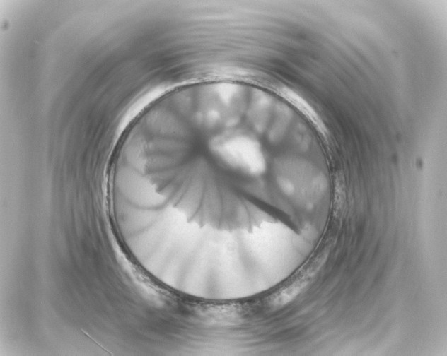 X0000087701047200705251728