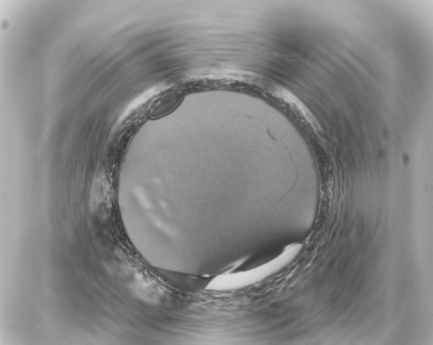 X0000087701064200705251728