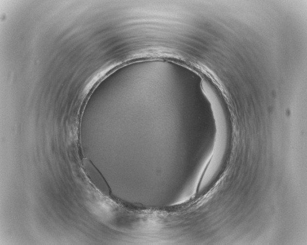 X0000087701081200705251727