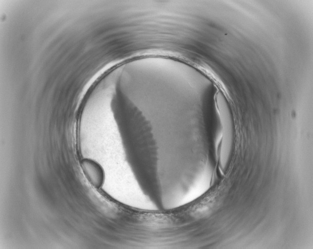 X0000087701092200705251727