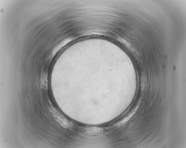 X0000087701113200705251726