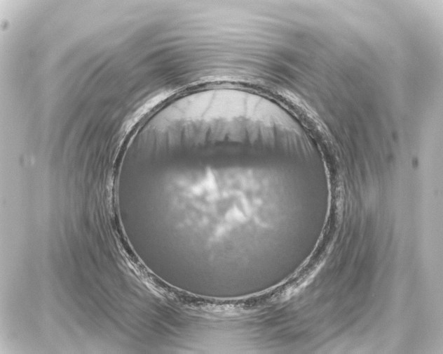 X0000087701121200705251727