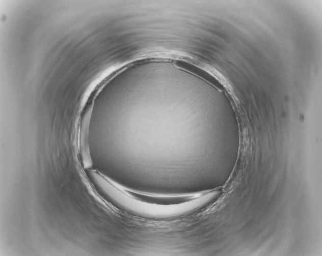 X0000087701128200705251727