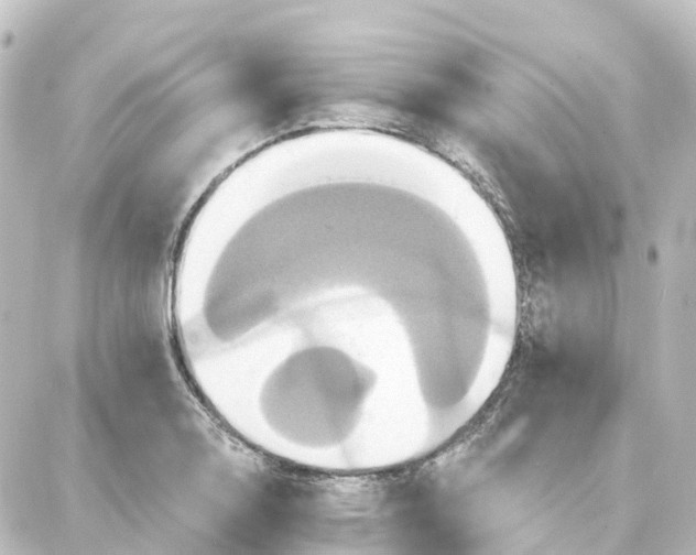 X0000087701130200705251727