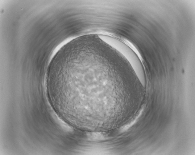 X0000087701149200705251727