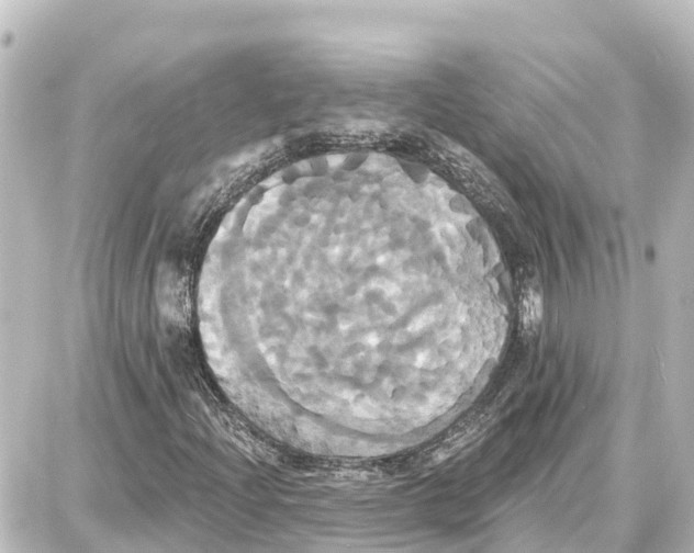 X0000087701204200705251725