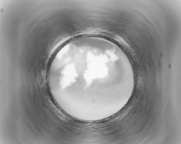 X0000087701216200705251725