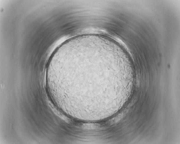 X0000087701227200705251725