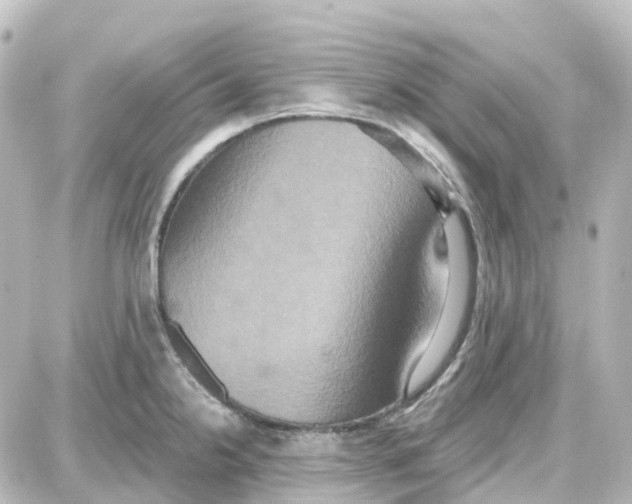 X0000087701238200705251725
