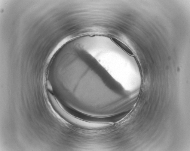 X0000087701243200705251725