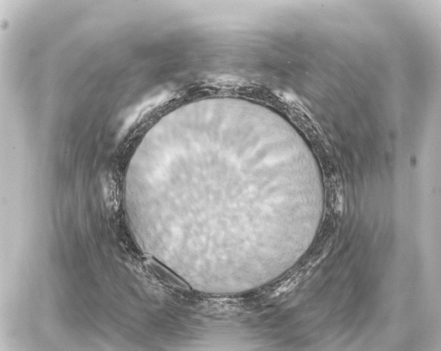 X0000087701253200705251725