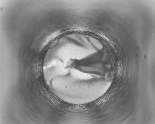 X0000087701255200705251725