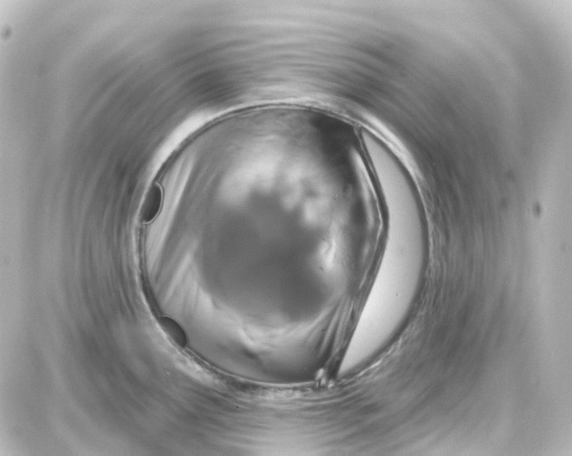 X0000087701291200705251724