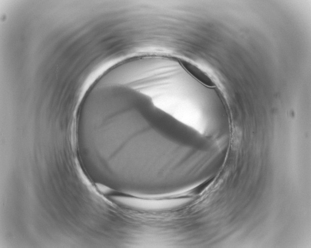 X0000087701295200705251724