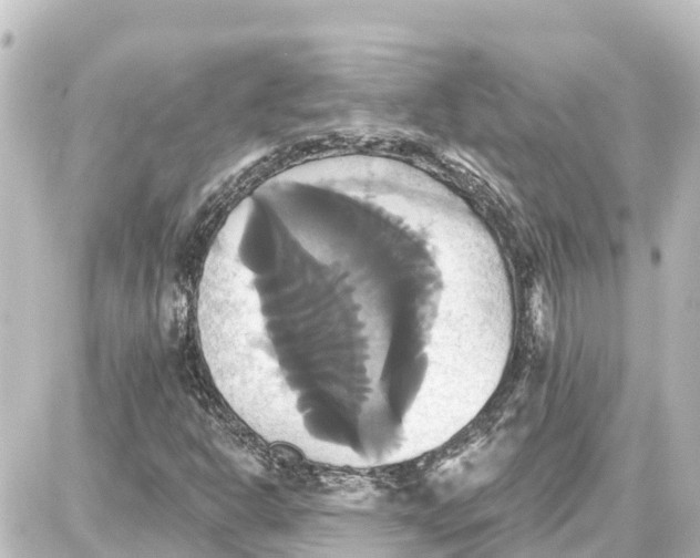 X0000087701302200705251723