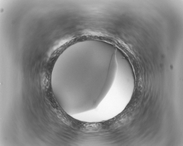 X0000087701303200705251723