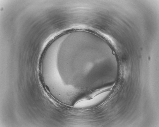 X0000087701327200705251724
