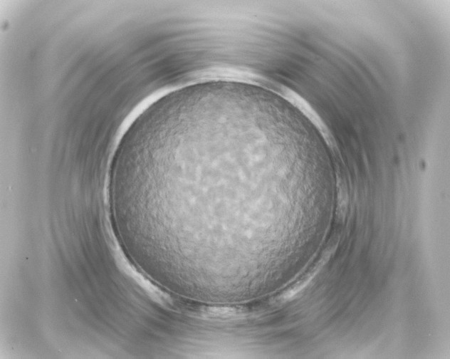 X0000087701339200705251724