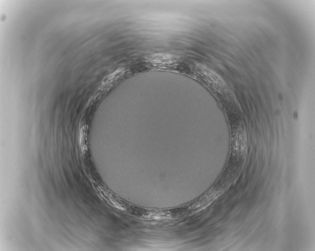 X0000087701346200705251723