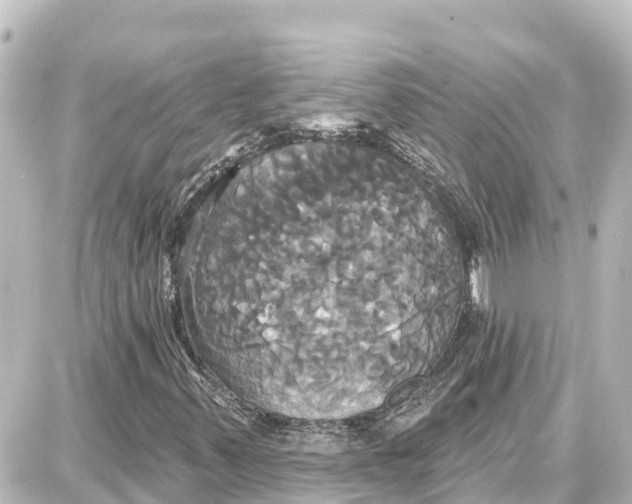 X0000087701347200705251723