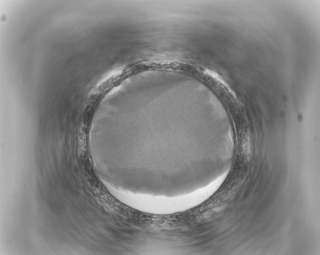X0000087701350200705251723