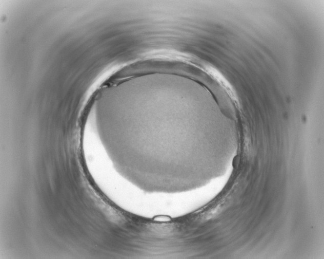 X0000087701376200705251723