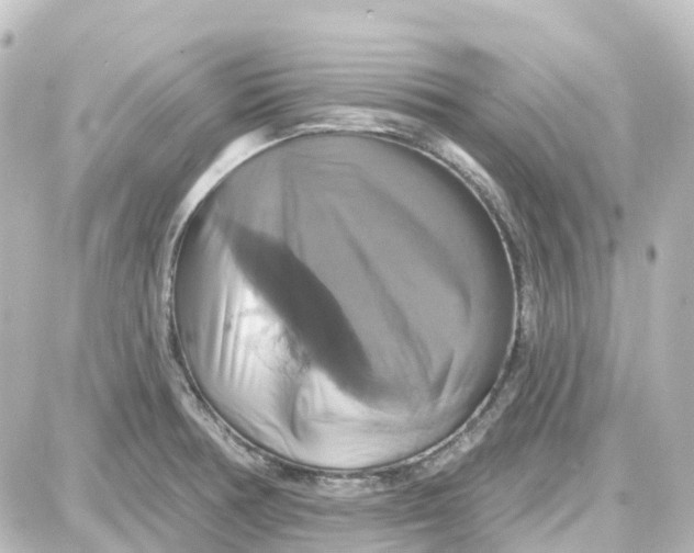 X0000087701378200705251723