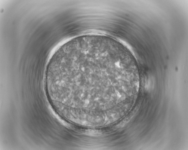 X0000087701379200705251723