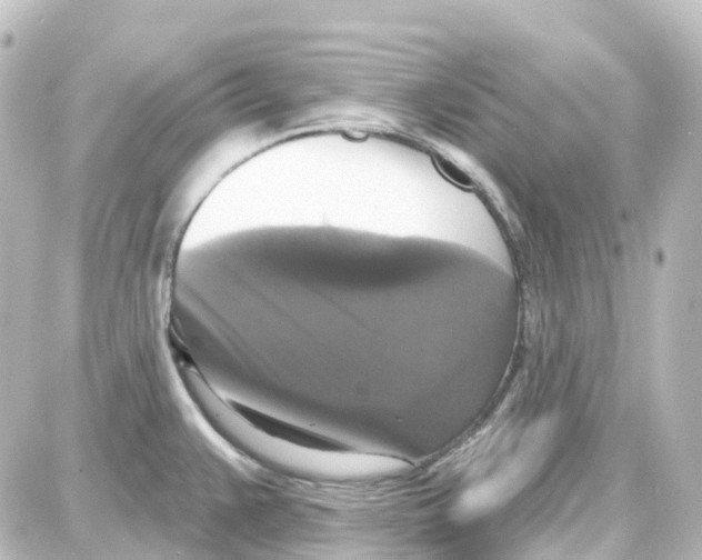 X0000087701383200705251723