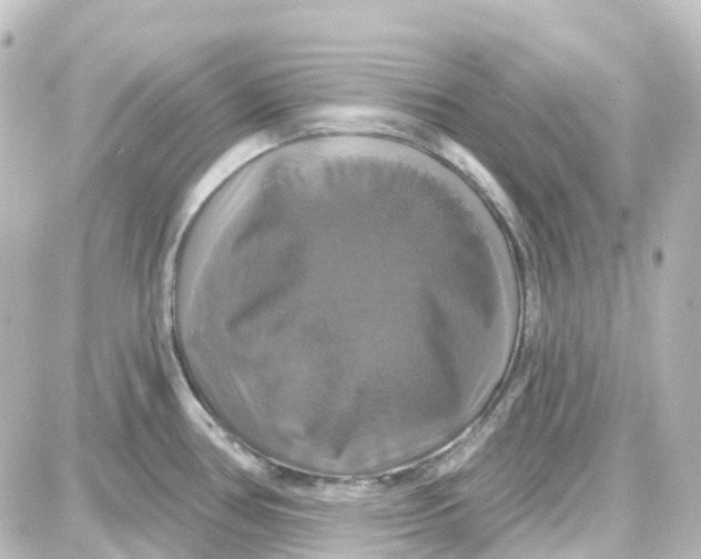 X0000087701386200705251723
