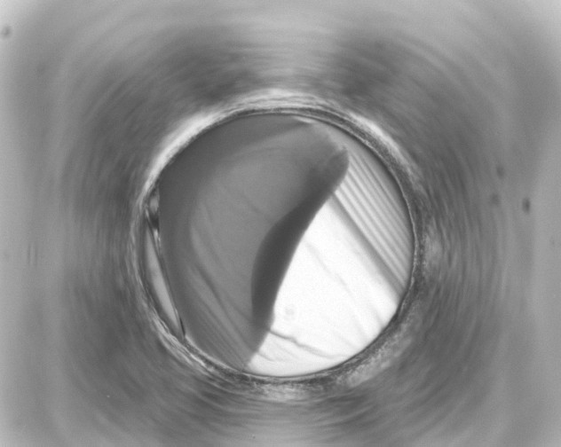 X0000087701413200705251722