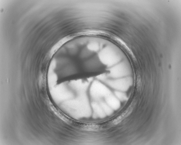 X0000087701417200705251722