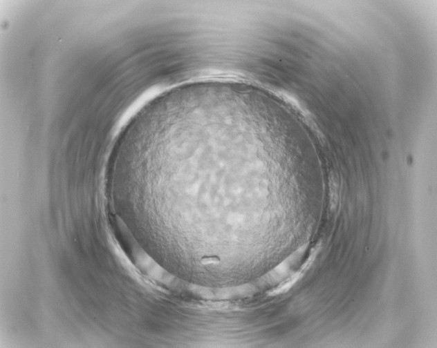 X0000087701422200705251722