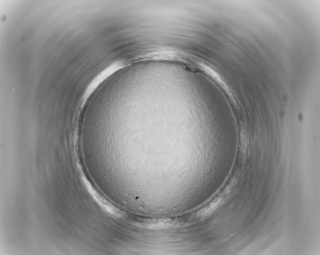 X0000087701426200705251722