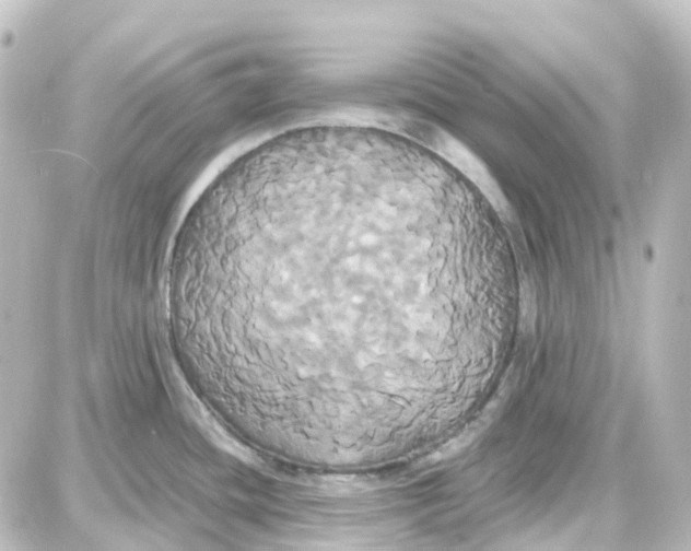 X0000087701436200705251722