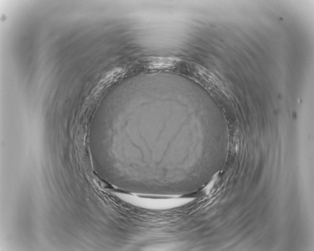X0000087701441200705251722