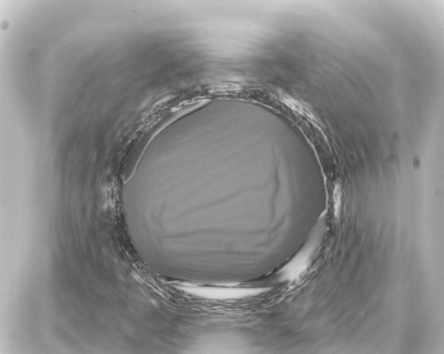 X0000087701445200705251722